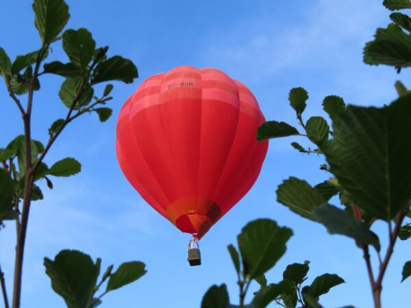 Huwelijksaanzoek luchtballon